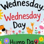 Best Wednesday Puns and Jokes Hilarious Hump Day Humor