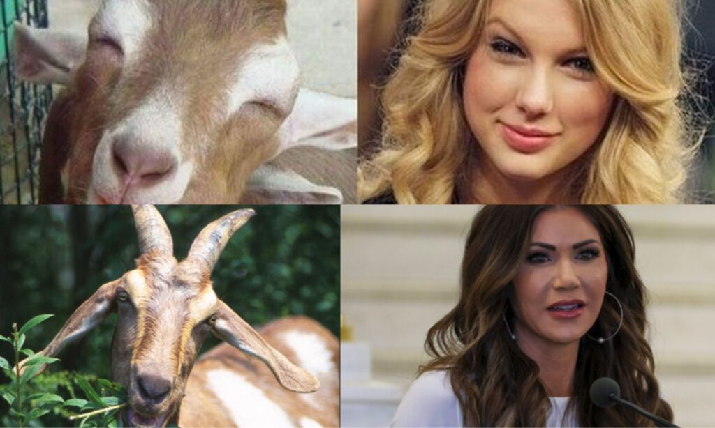 Funny Goat Names After Celebrities
